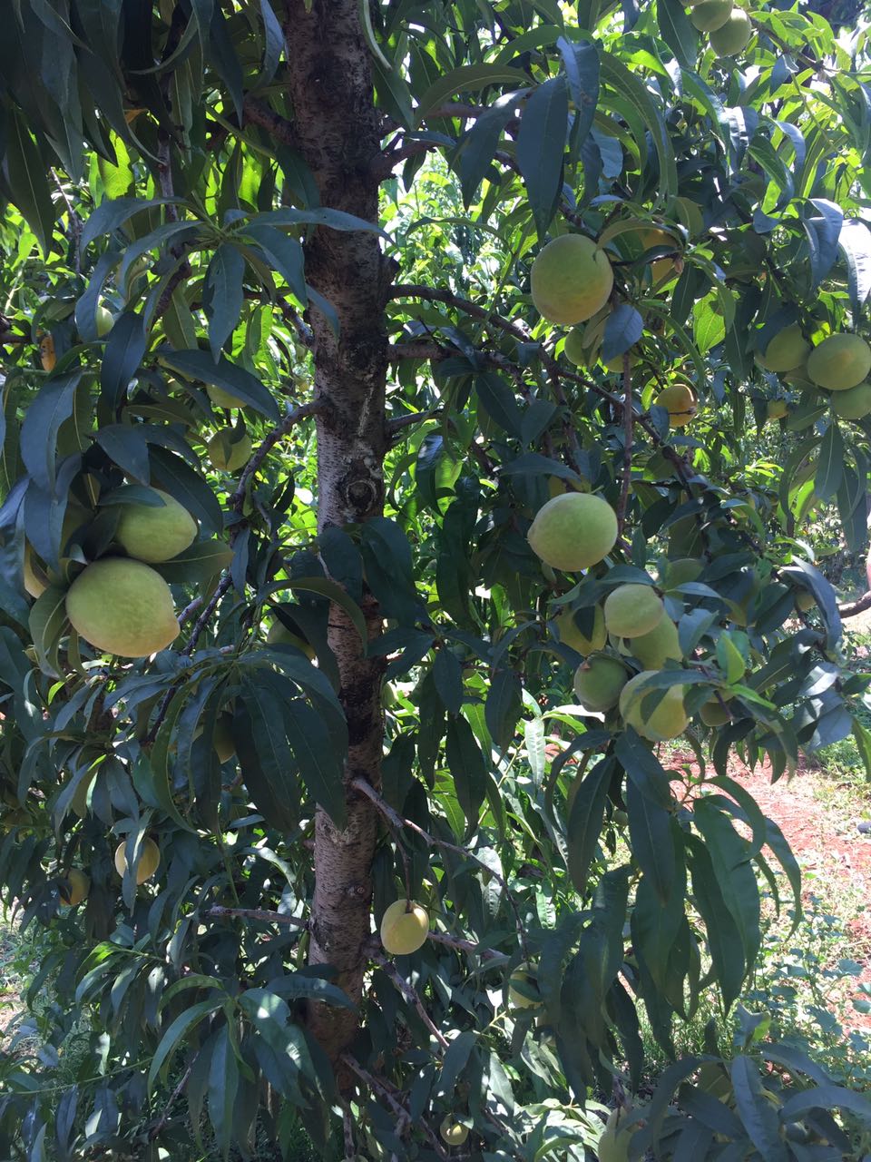 Unsplashed background img 2