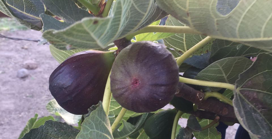 Unsplashed background img 3