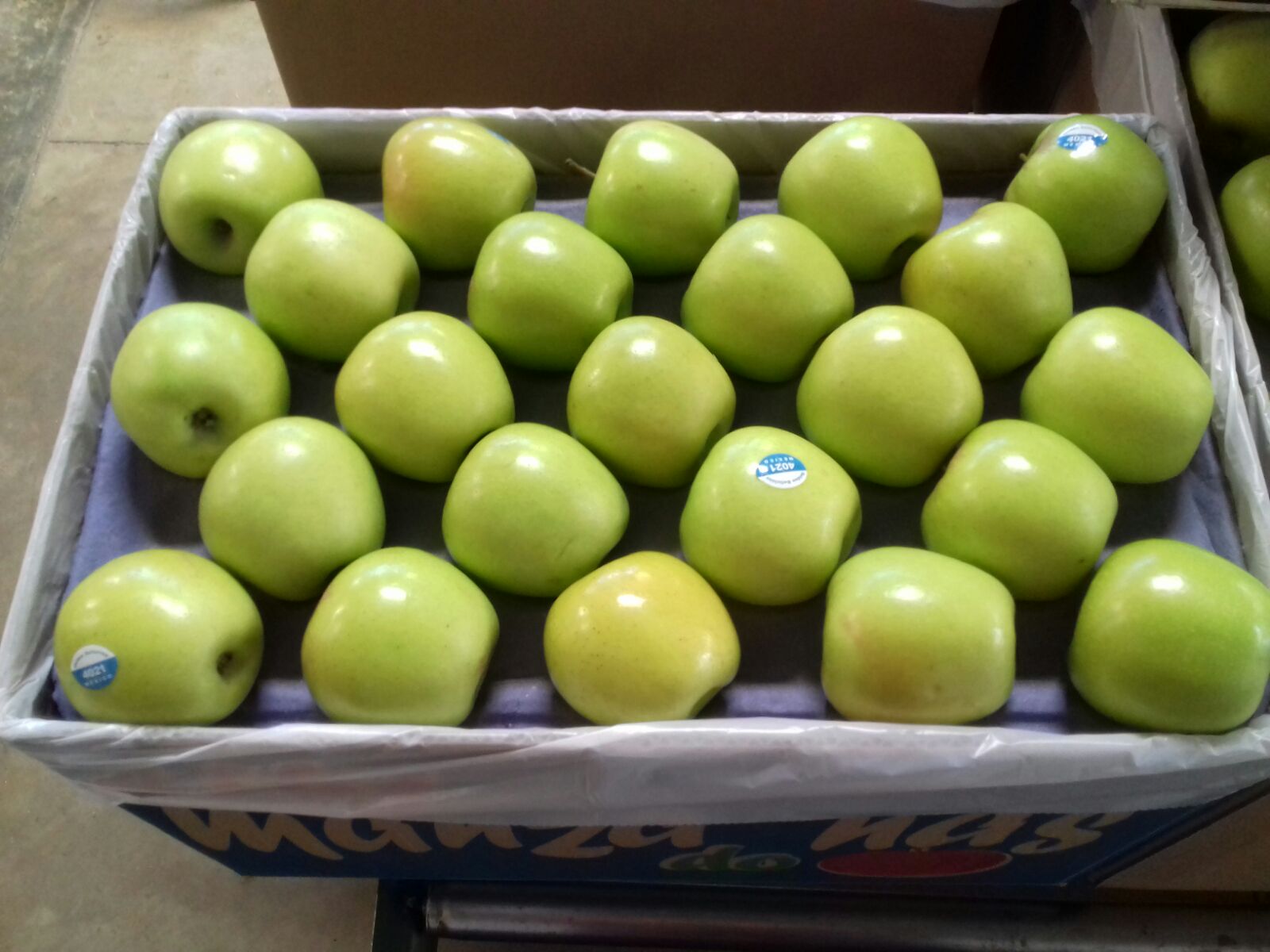 Unsplashed background img 2