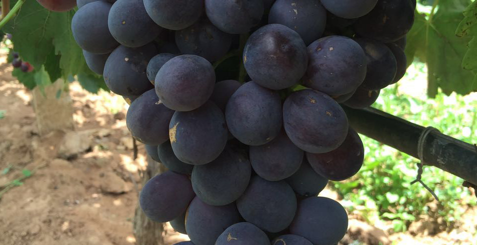 Unsplashed background img 1